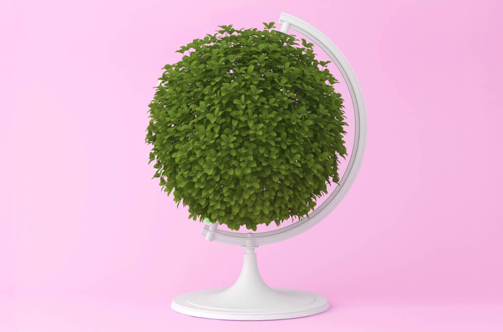 So sparst du Kiloweise Müll ohne Einschränkung